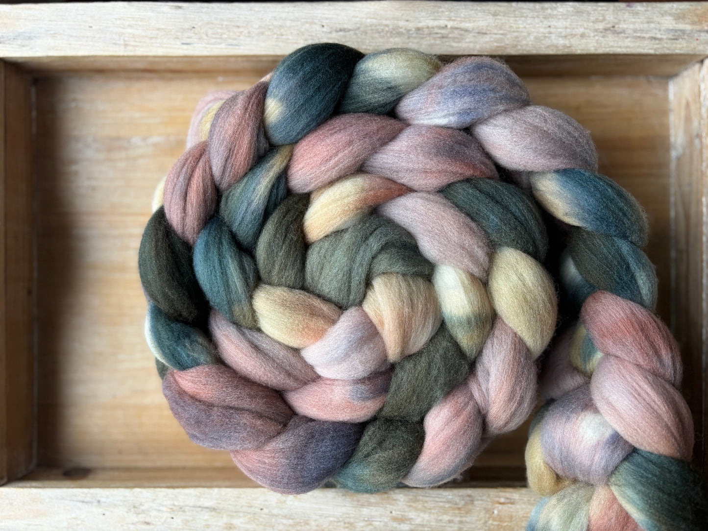 One of a Kind Batch - 100 grams of Spinning Fibre - 100% Targhee - 23 Micron - Hand Dyed Combed Top