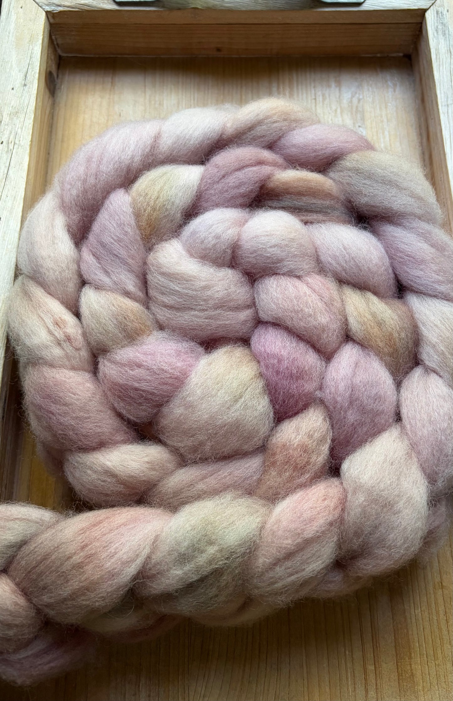 Bluefaced Leicester Wool - 26 Micron - One of a Kind Batch - 100 grams of Spinning Fibre - Hand Dyed Combed Top