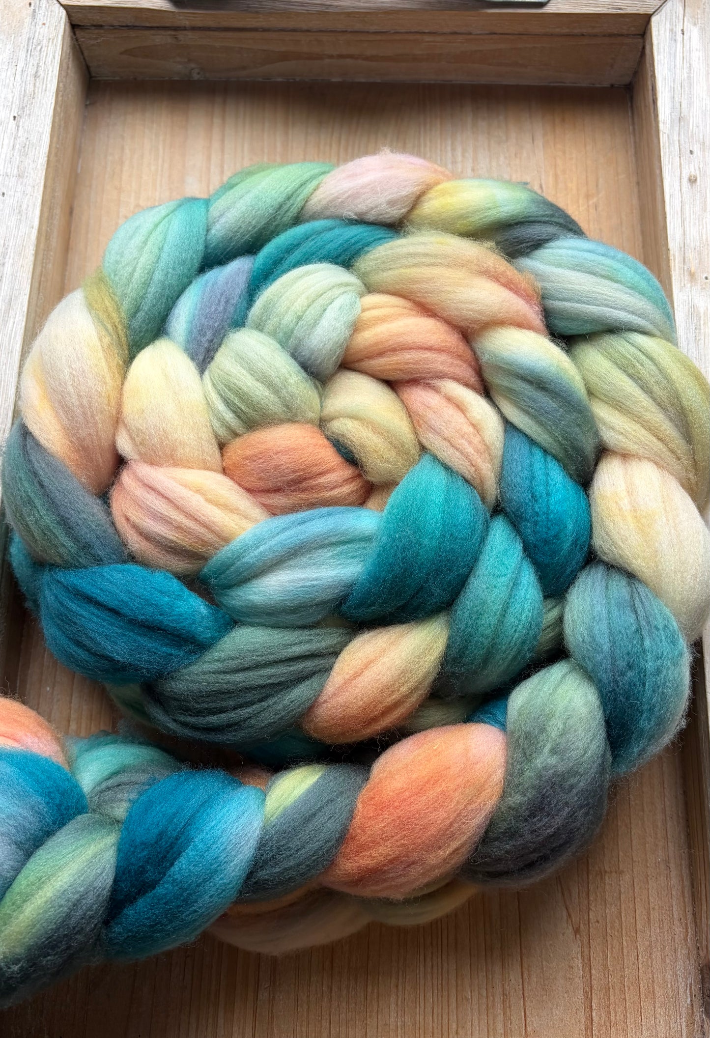 100% Superwash Merino Wool - 22 Micron - One of a Kind Batch - 100 grams of Spinning Fibre - Hand Dyed Combed Top