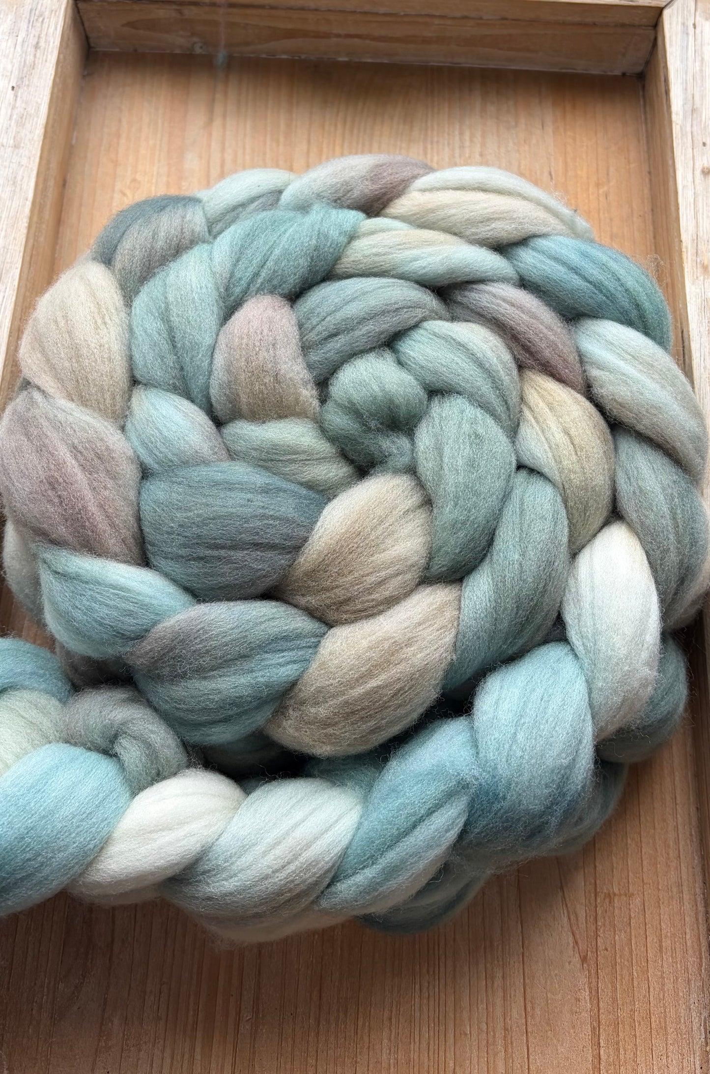 Targhee - 23 Micron - One of a Kind Batch - 100 grams of Spinning Fibre - Hand Dyed Combed Top