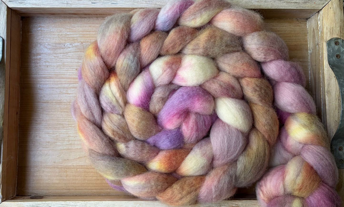 Bluefaced Leicester Wool - 26 Micron - One of a Kind Batch - 100 grams of Spinning Fibre - Hand Dyed Combed Top