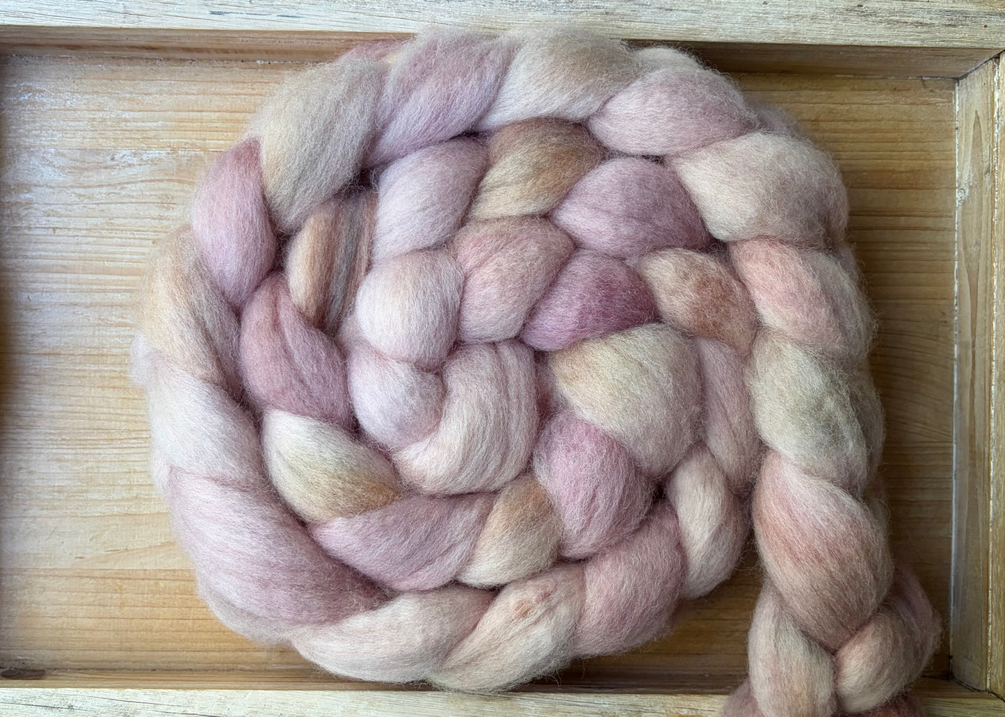 Bluefaced Leicester Wool - 26 Micron - One of a Kind Batch - 100 grams of Spinning Fibre - Hand Dyed Combed Top