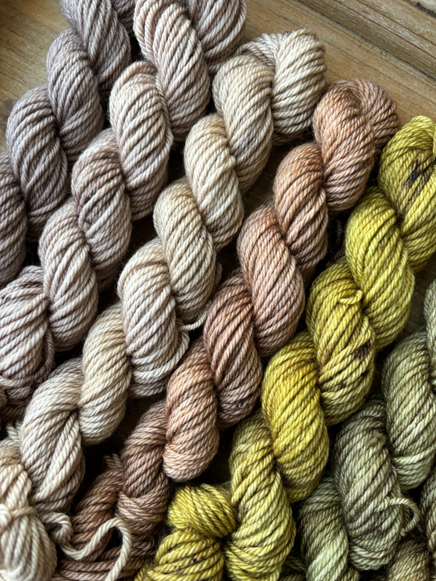 10 Skein Mini Yarn Fade - Hidden DK Base