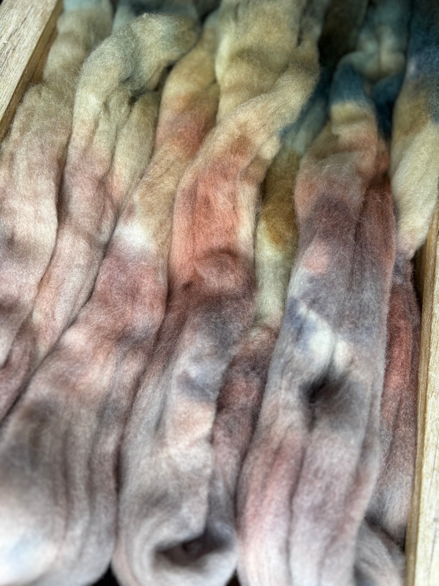 One of a Kind Batch - 100 grams of Spinning Fibre - 100% Targhee - 23 Micron - Hand Dyed Combed Top