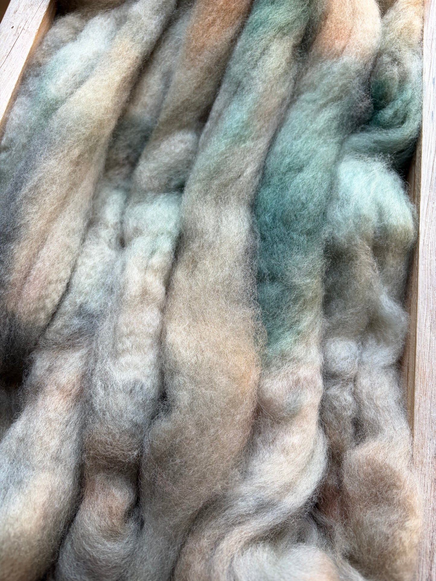Bluefaced Leicester Wool - 26 Micron - One of a Kind Batch - 100 grams of Spinning Fibre - Hand Dyed Combed Top