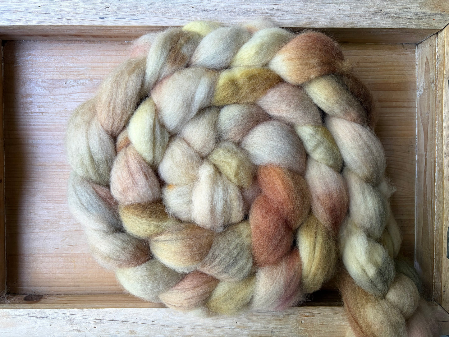 Bluefaced Leicester Wool - 26 Micron - One of a Kind Batch - 100 grams of Spinning Fibre - Hand Dyed Combed Top