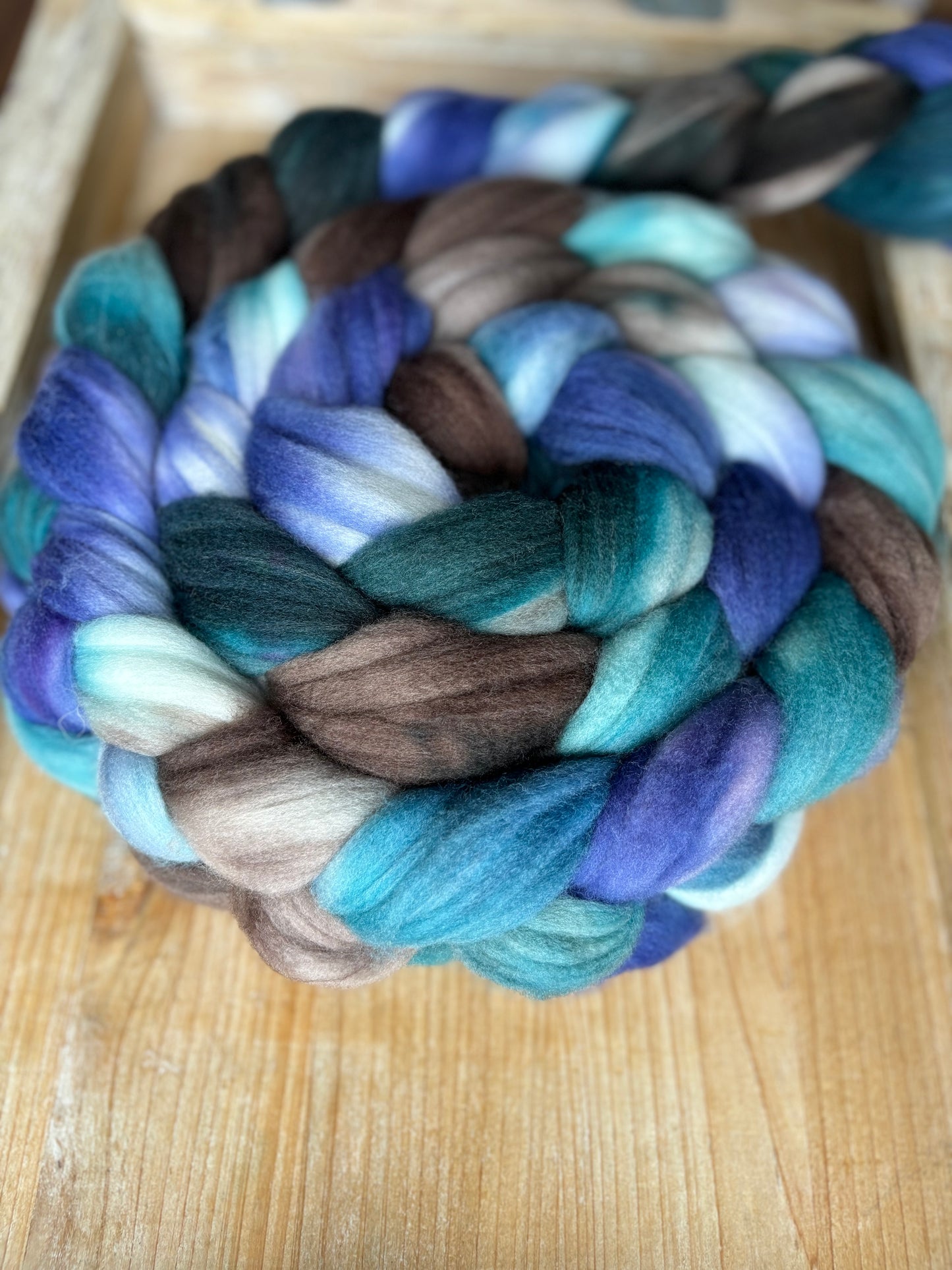 One of a Kind Batch - 100 grams of Spinning Fibre - 80% Superwash Merino Wool/ 20% Nylon - 22.5 Micron - Hand Dyed Combed Top