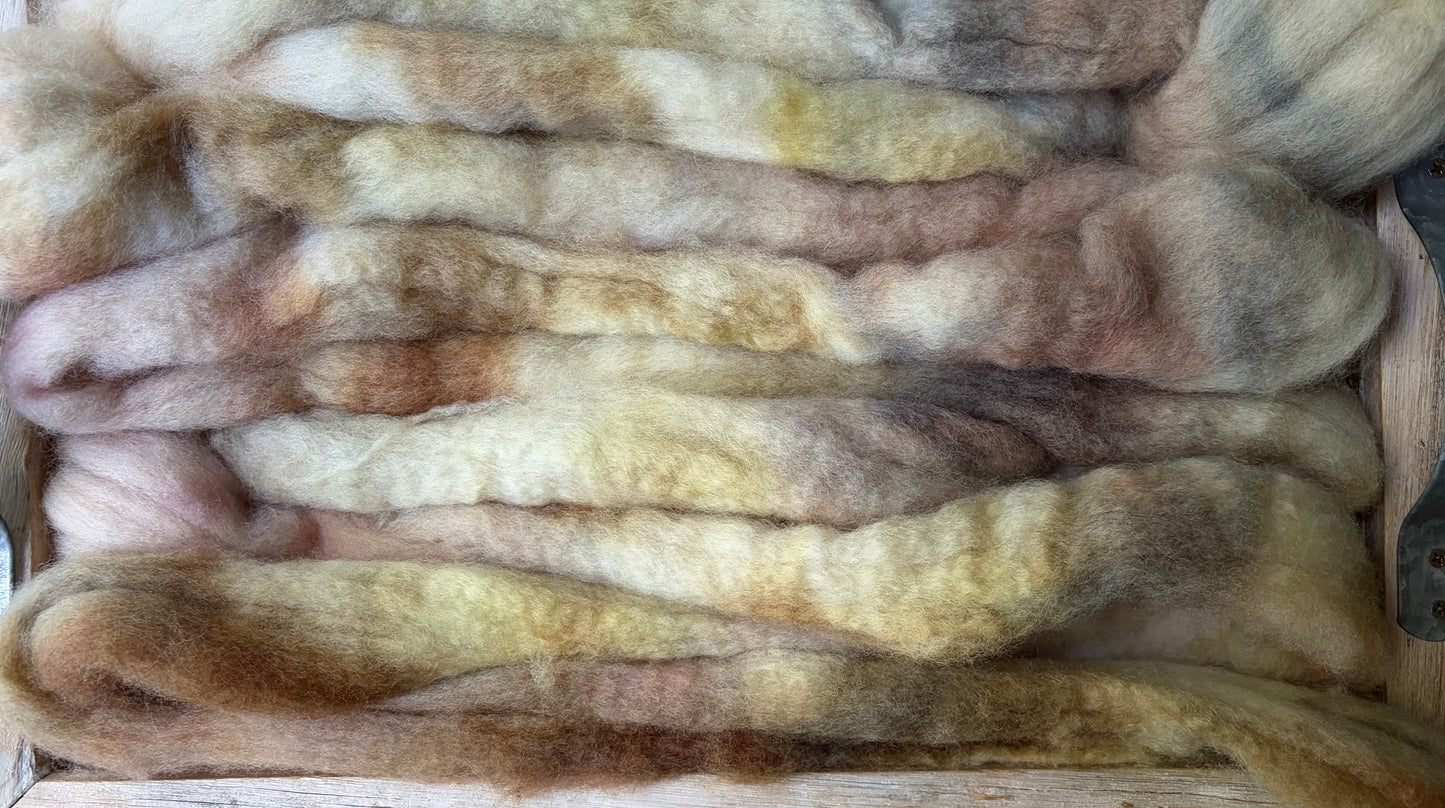 Bluefaced Leicester Wool - 26 Micron - One of a Kind Batch - 100 grams of Spinning Fibre - Hand Dyed Combed Top