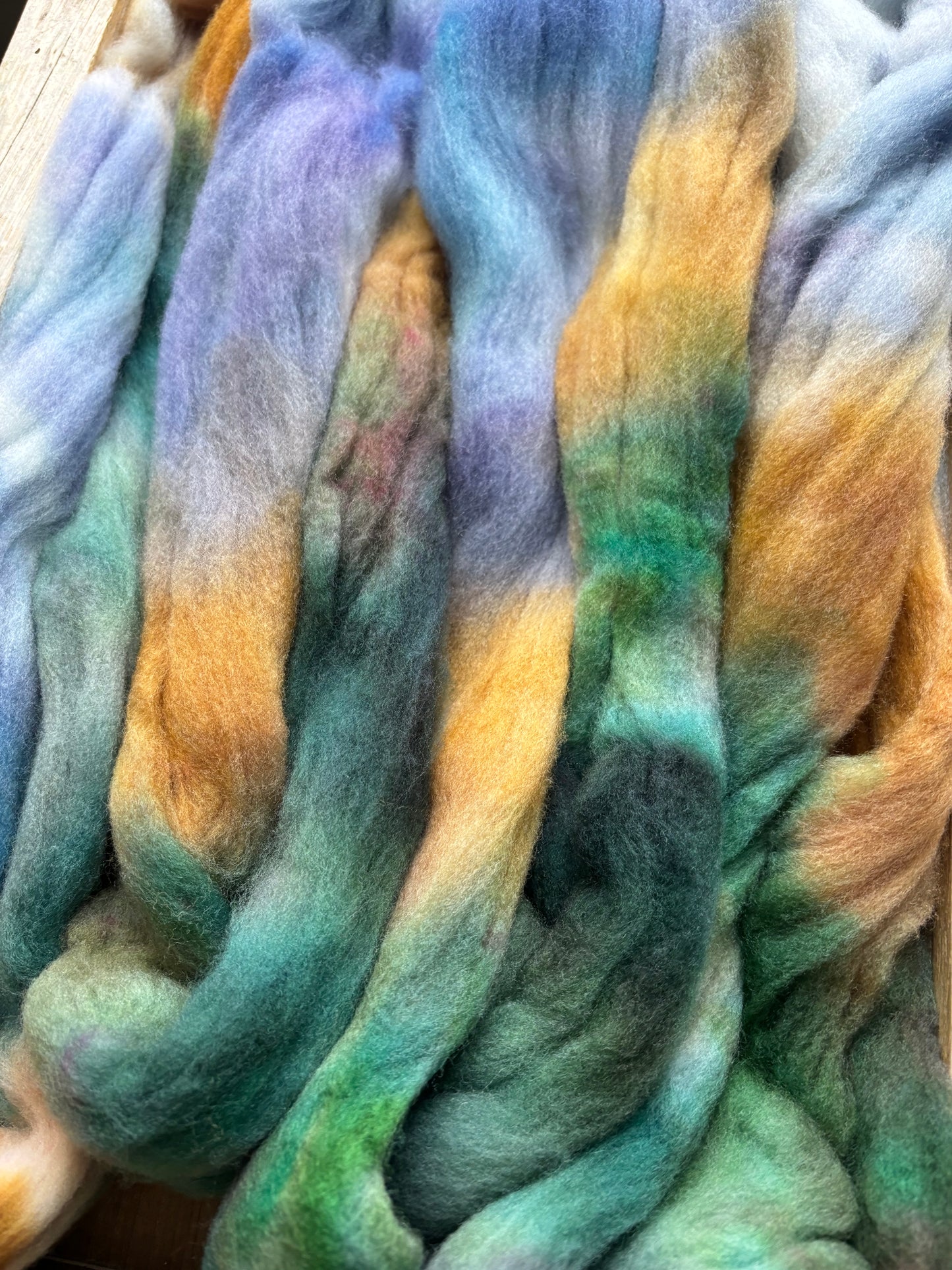 One of a Kind Batch - 100 grams of Spinning Fibre - 100% Targhee - 23 Micron - Hand Dyed Combed Top