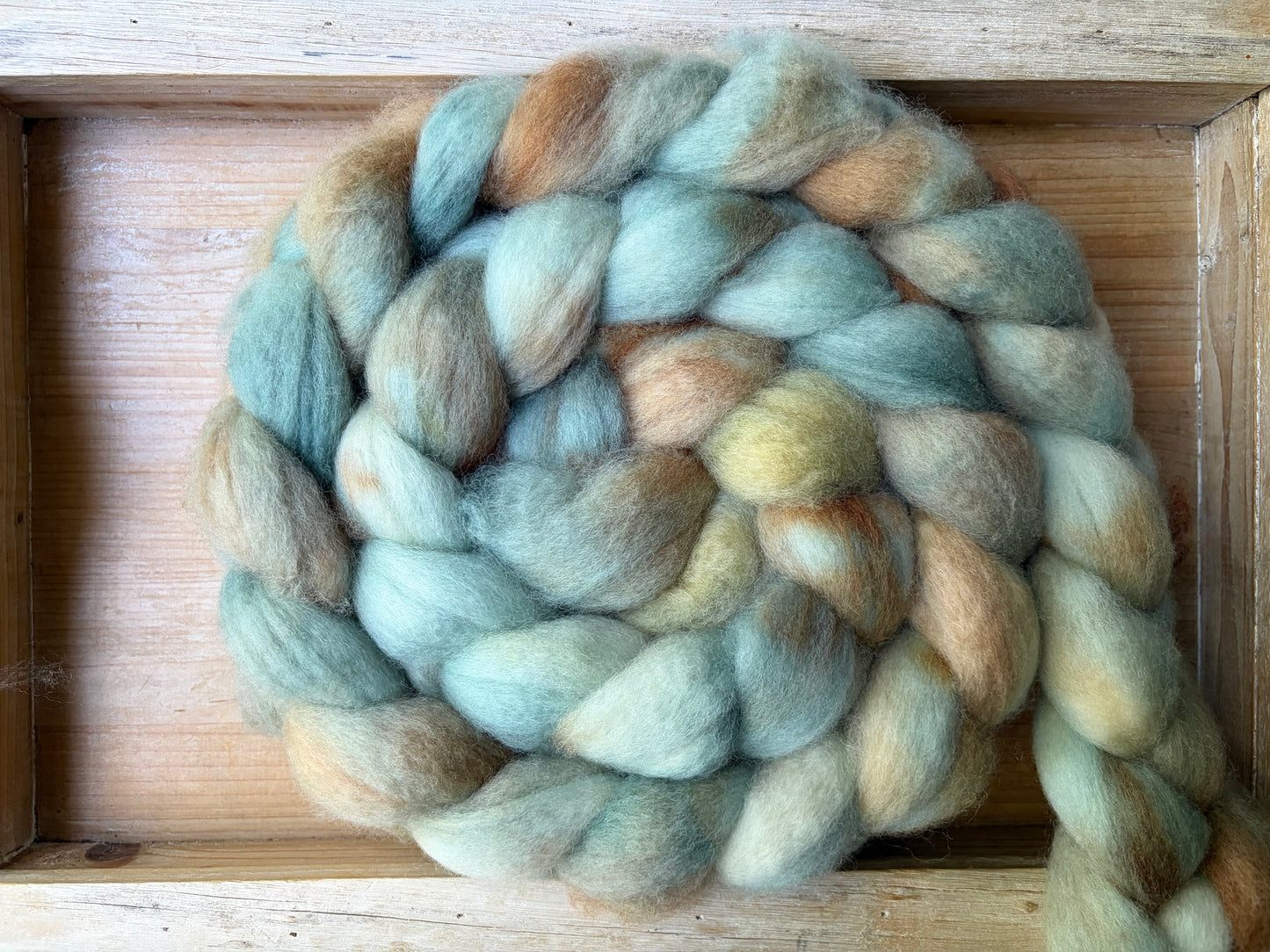 Bluefaced Leicester Wool - 26 Micron - One of a Kind Batch - 100 grams of Spinning Fibre - Hand Dyed Combed Top