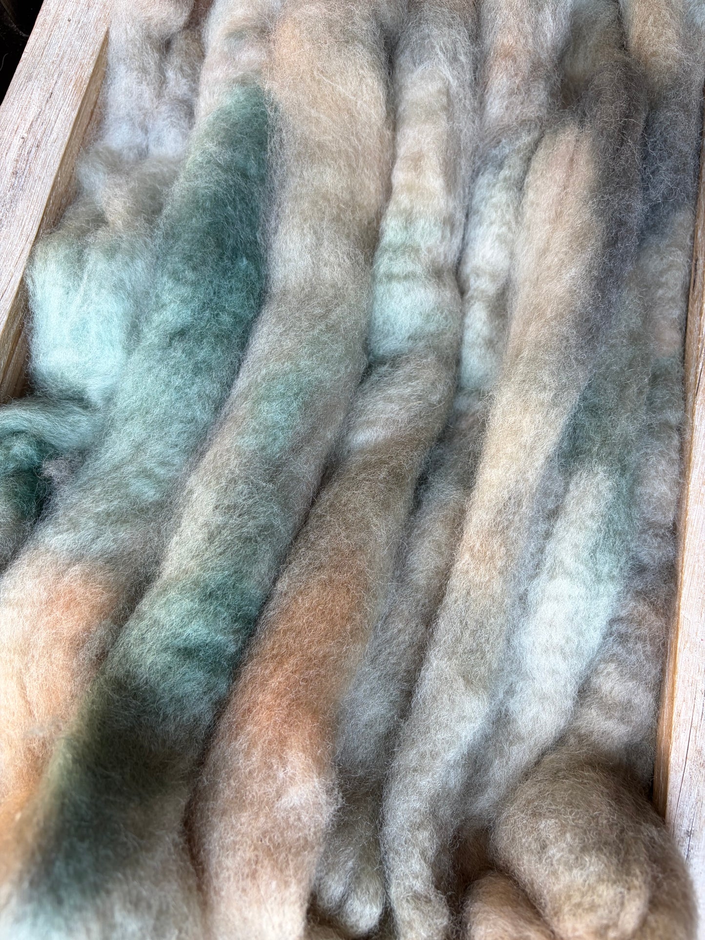 Bluefaced Leicester Wool - 26 Micron - One of a Kind Batch - 100 grams of Spinning Fibre - Hand Dyed Combed Top