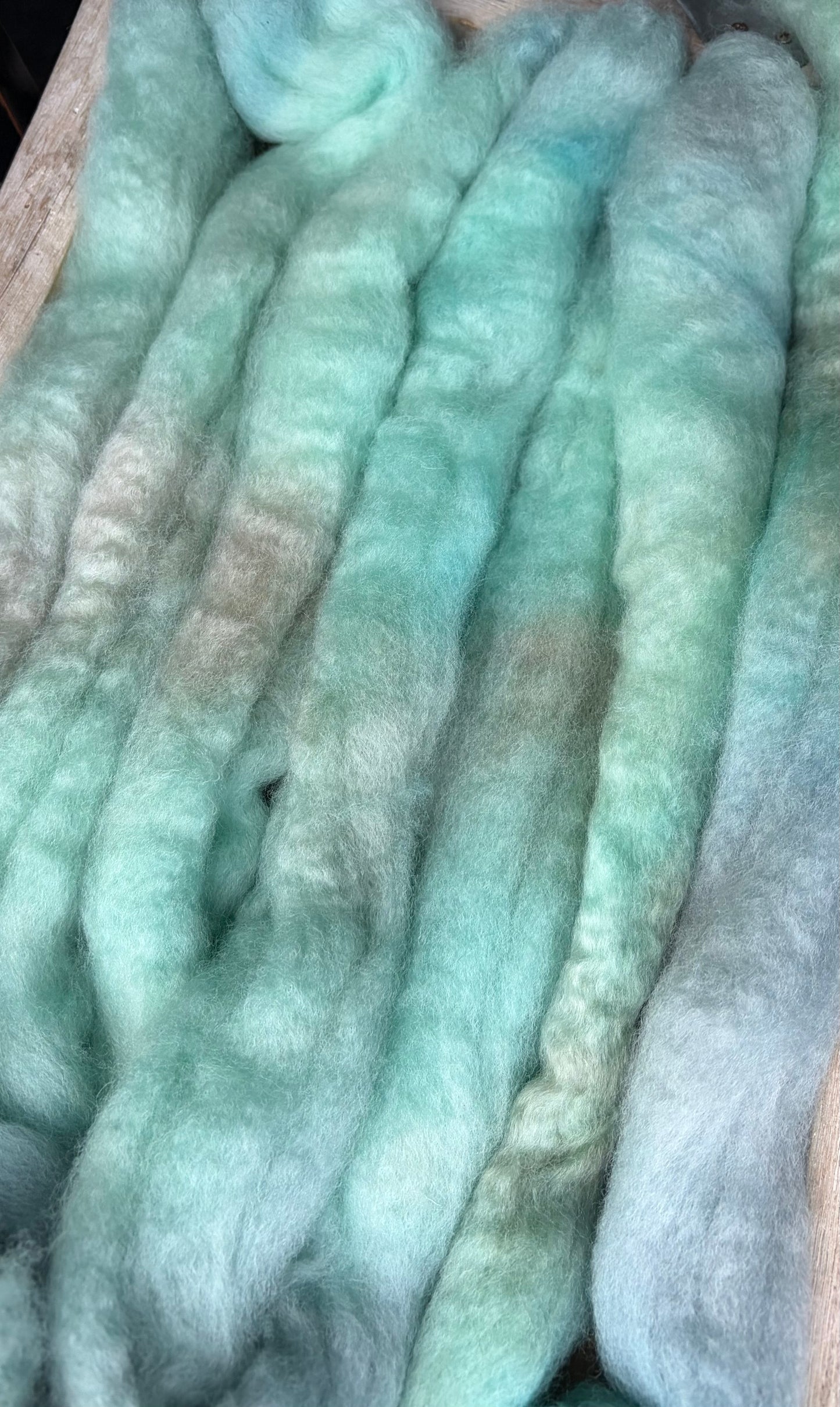Bluefaced Leicester Wool - 26 Micron - One of a Kind Batch - 100 grams of Spinning Fibre - Hand Dyed Combed Top