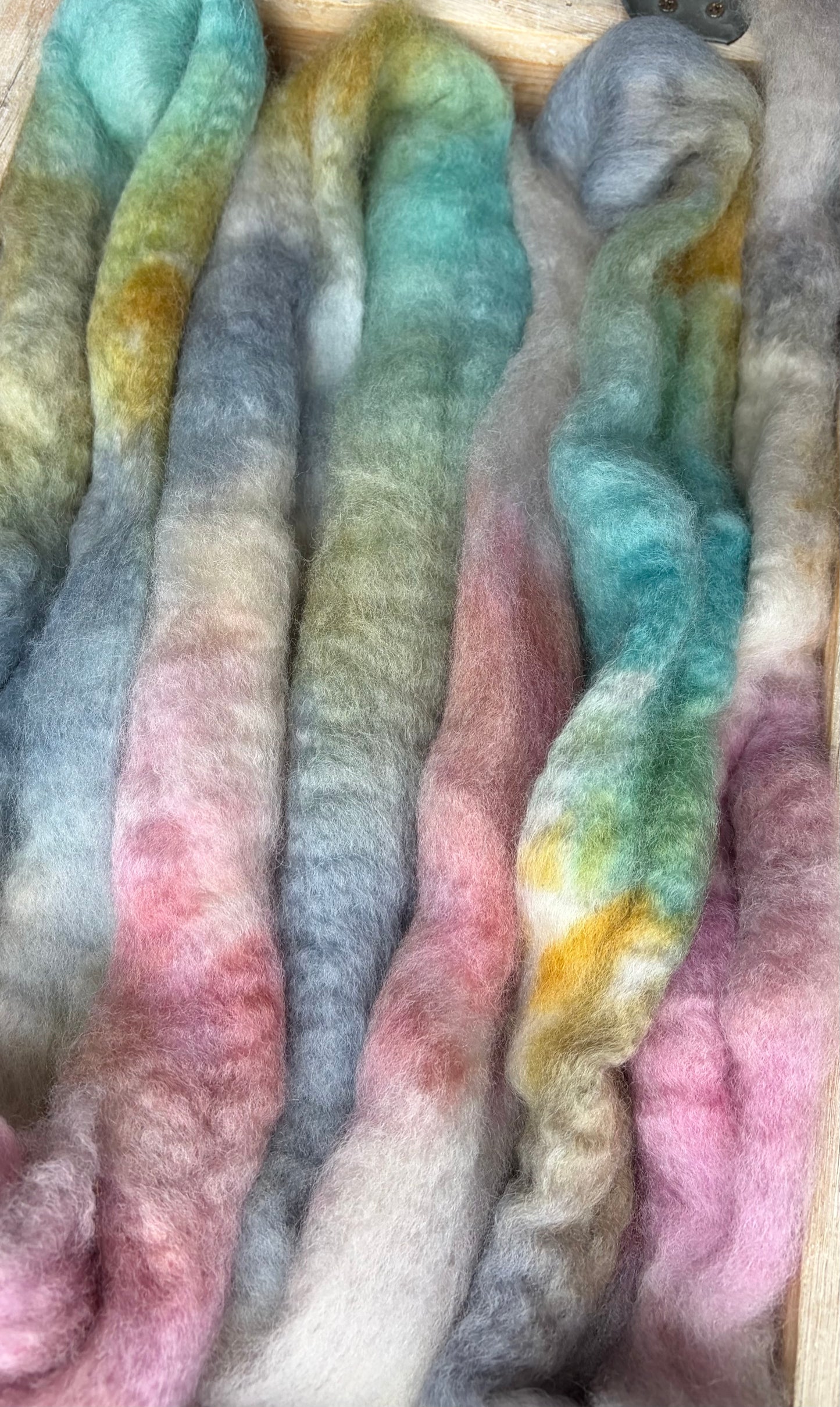 Bluefaced Leicester Wool - 26 Micron - One of a Kind Batch - 100 grams of Spinning Fibre - Hand Dyed Combed Top