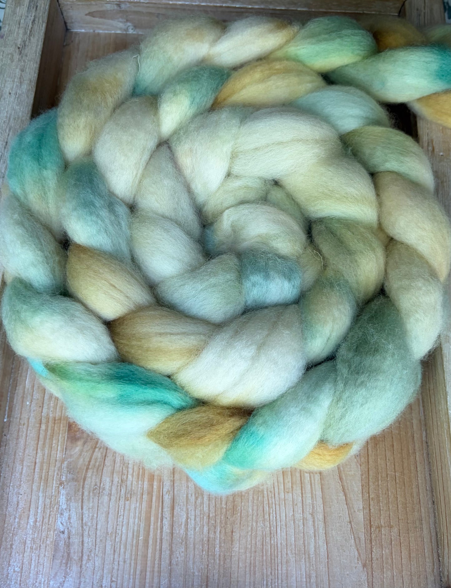 Bluefaced Leicester Wool - 26 Micron - One of a Kind Batch - 100 grams of Spinning Fibre - Hand Dyed Combed Top