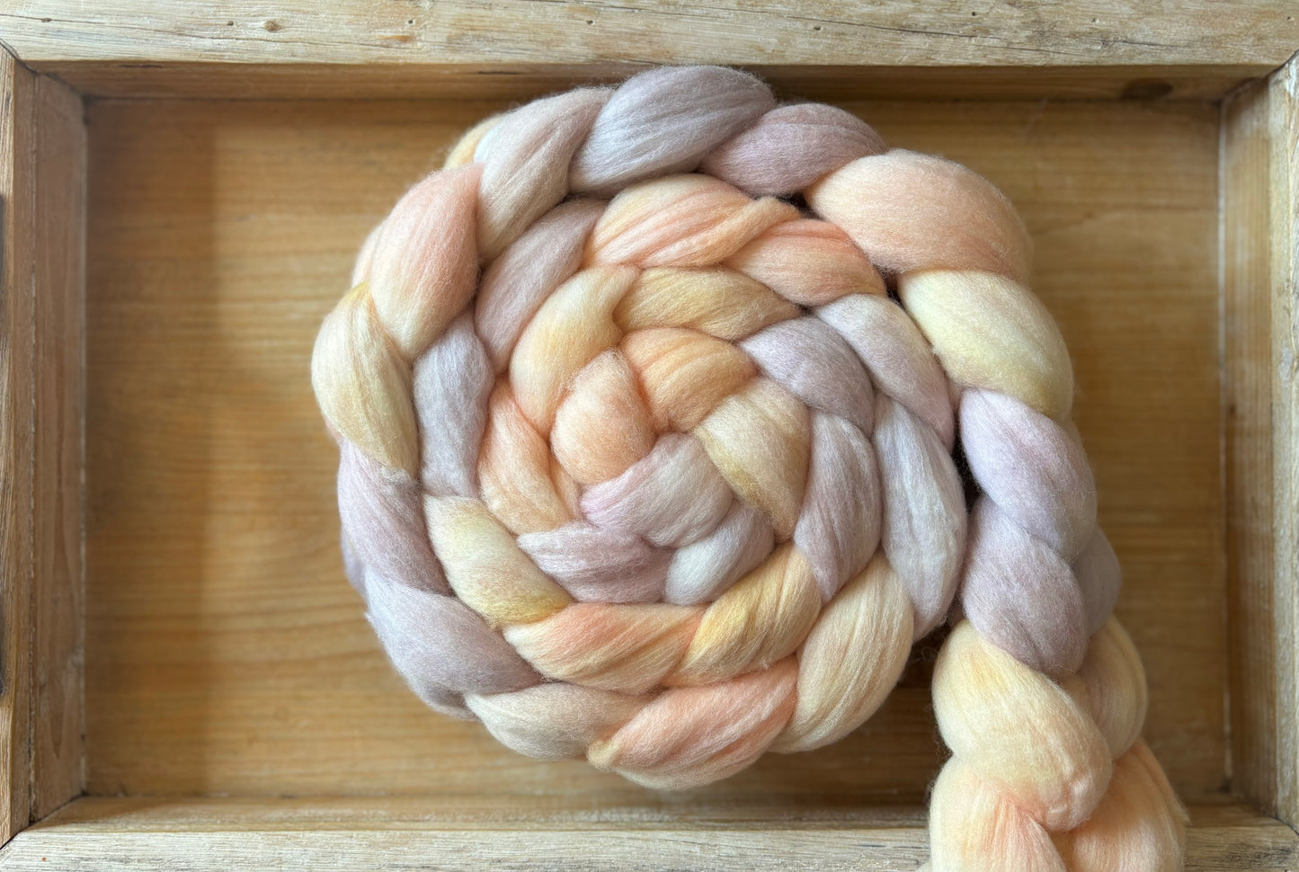 Seashells - 100 grams of Spinning Fibre