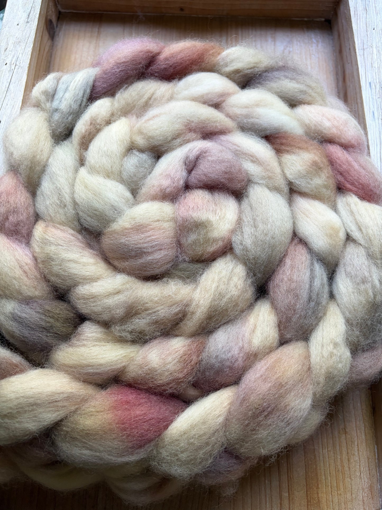 Bluefaced Leicester Wool - 26 Micron - One of a Kind Batch - 100 grams of Spinning Fibre - Hand Dyed Combed Top