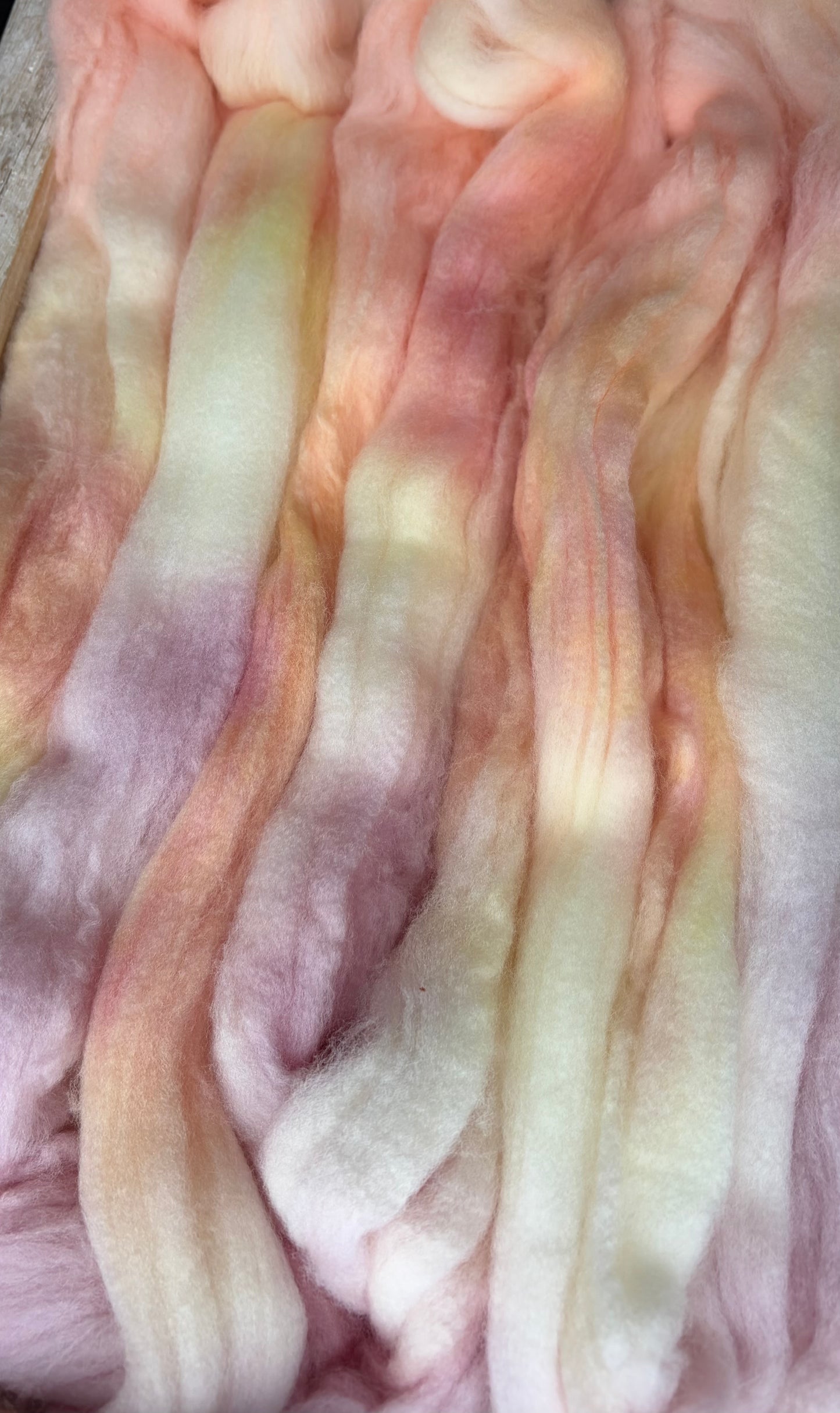100% Superwash Merino Wool - 22 Micron - One of a Kind Batch - 100 grams of Spinning Fibre - Hand Dyed Combed Top