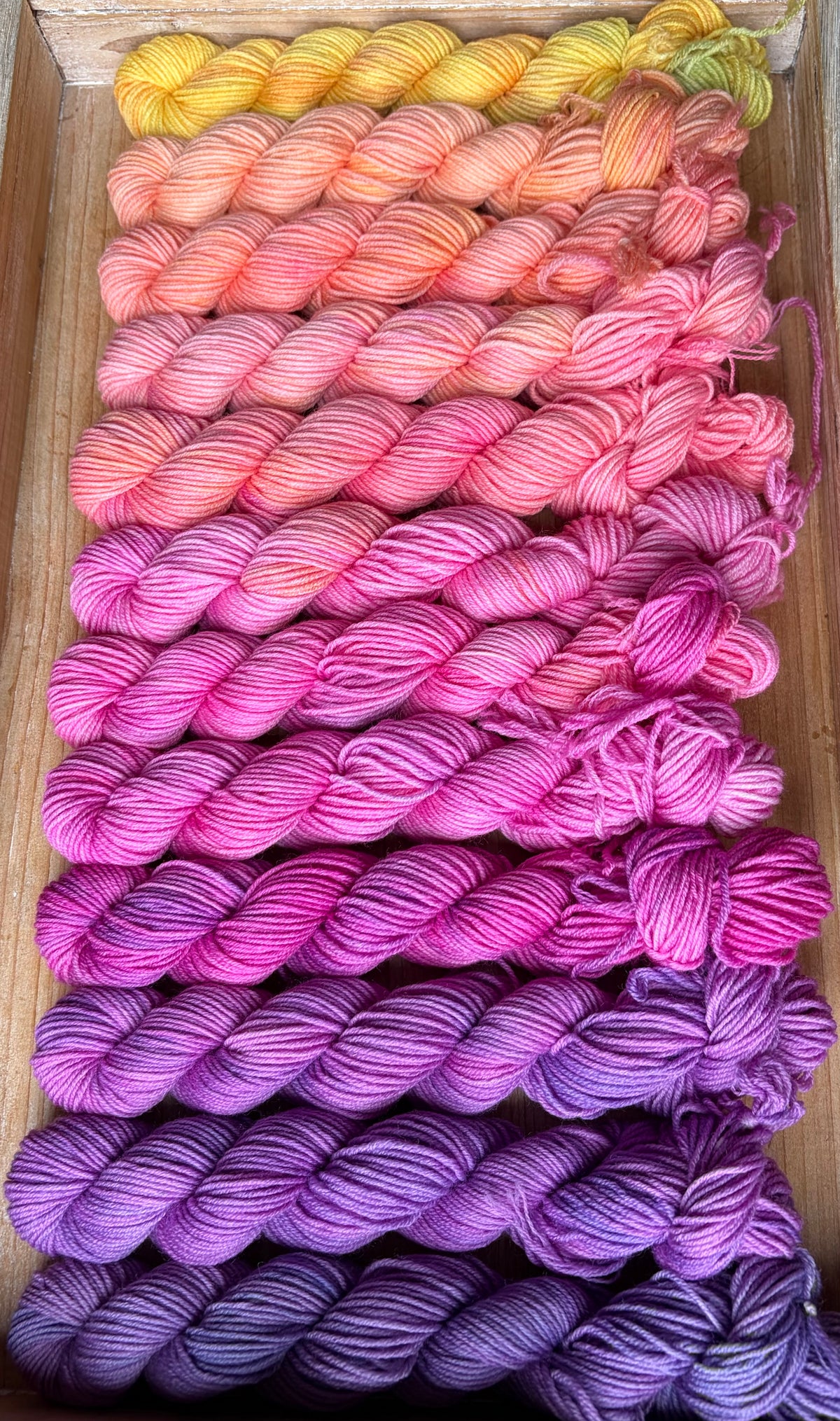 24 Skein Mini Yarn Fade - Squishy Sock Base