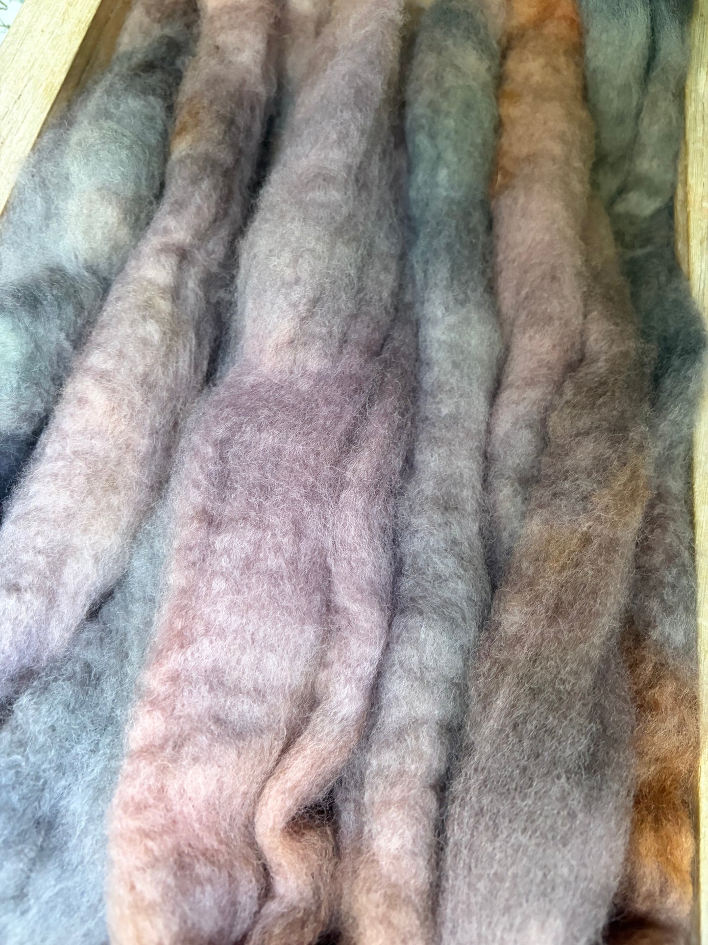Bluefaced Leicester Wool - 26 Micron - One of a Kind Batch - 100 grams of Spinning Fibre - Hand Dyed Combed Top