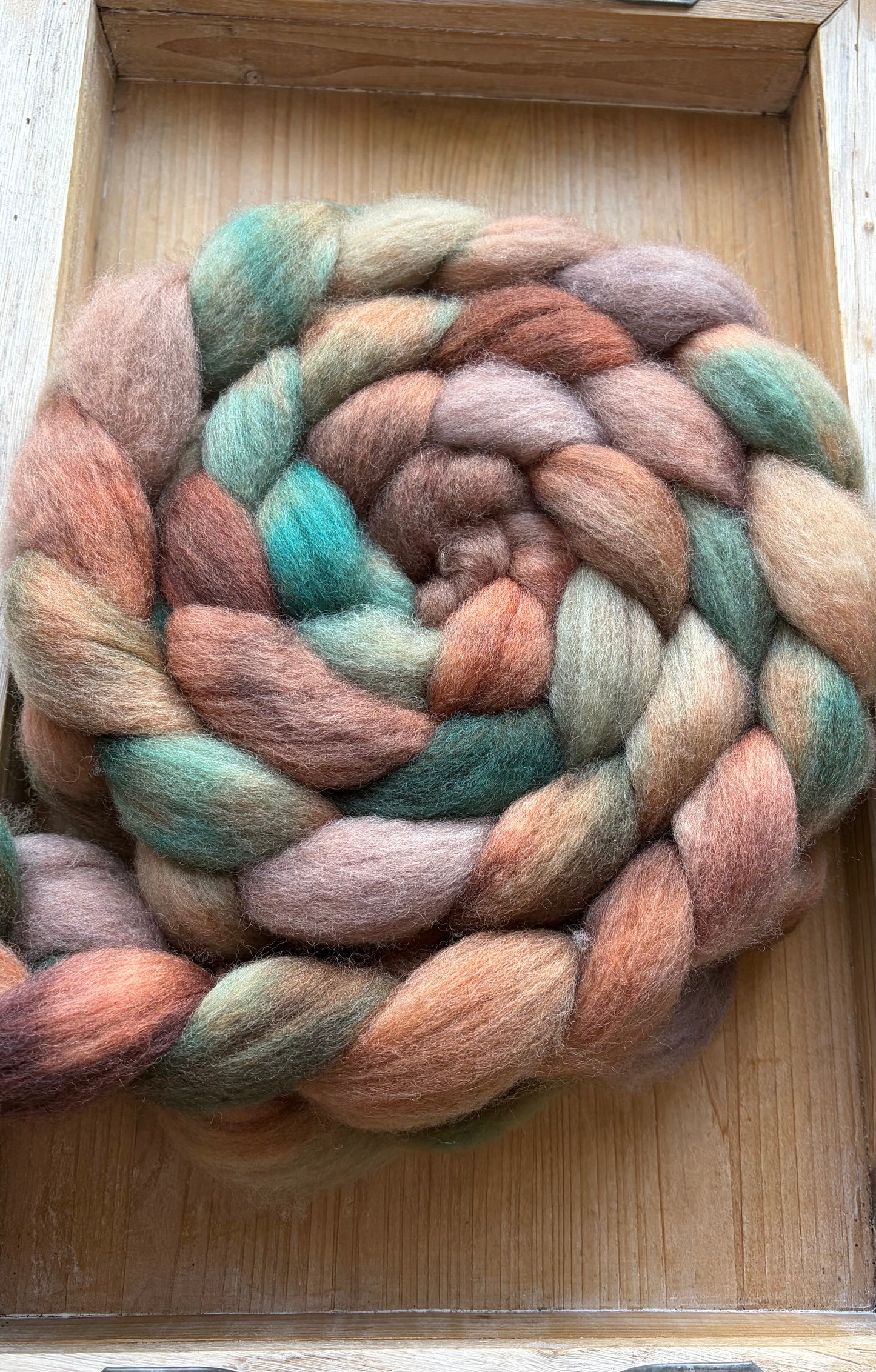 Bluefaced Leicester Wool - 26 Micron - One of a Kind Batch - 100 grams of Spinning Fibre - Hand Dyed Combed Top