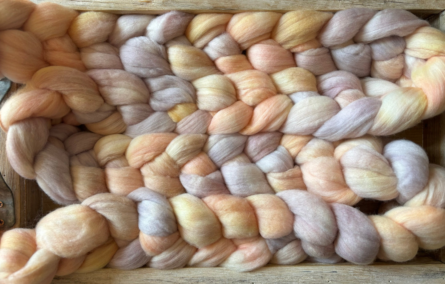 Seashells - 100 grams of Spinning Fibre