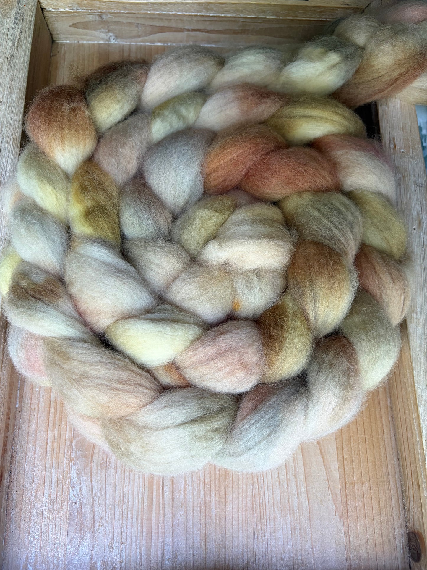 Bluefaced Leicester Wool - 26 Micron - One of a Kind Batch - 100 grams of Spinning Fibre - Hand Dyed Combed Top