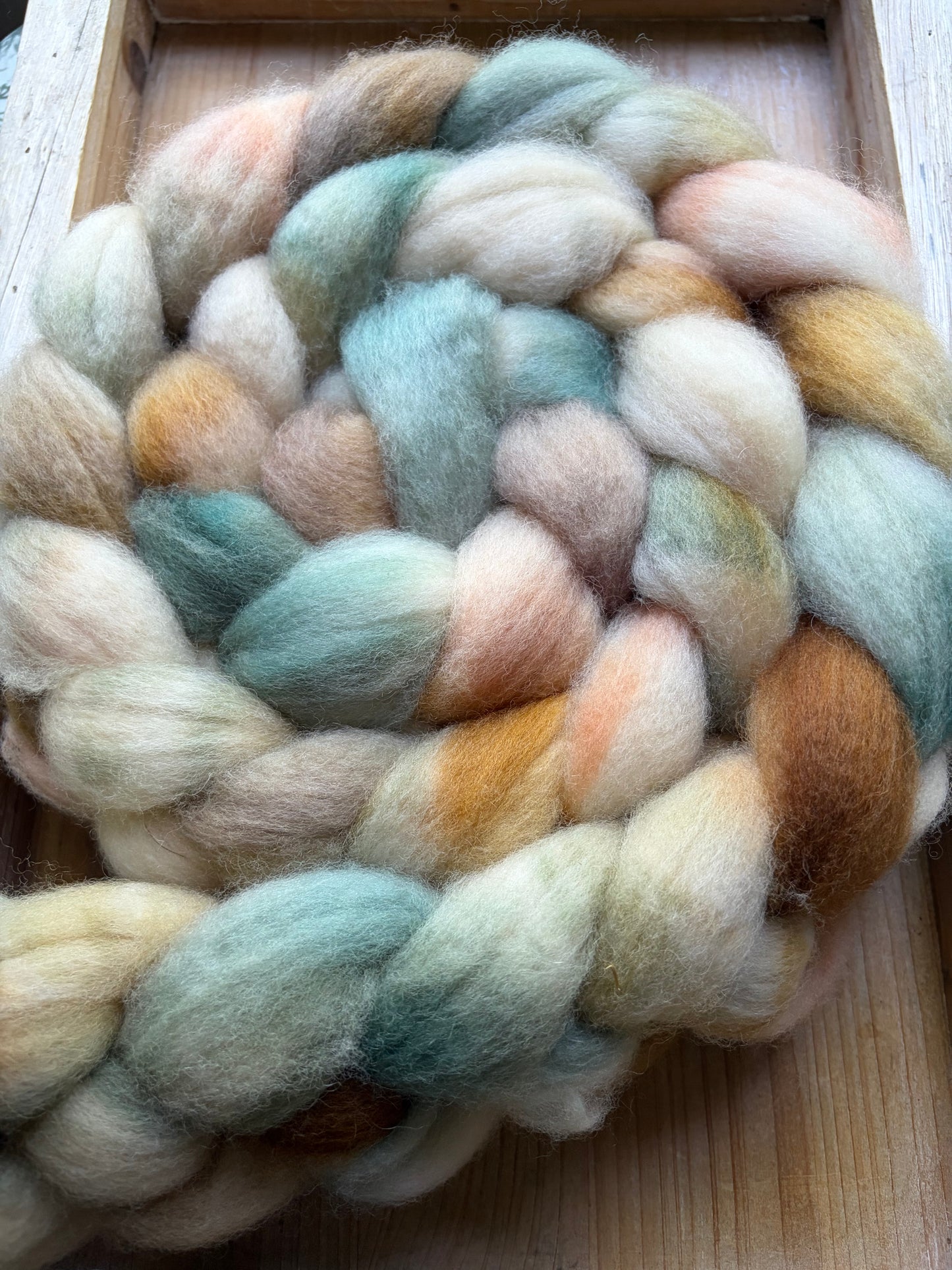 Bluefaced Leicester Wool - 26 Micron - One of a Kind Batch - 100 grams of Spinning Fibre - Hand Dyed Combed Top