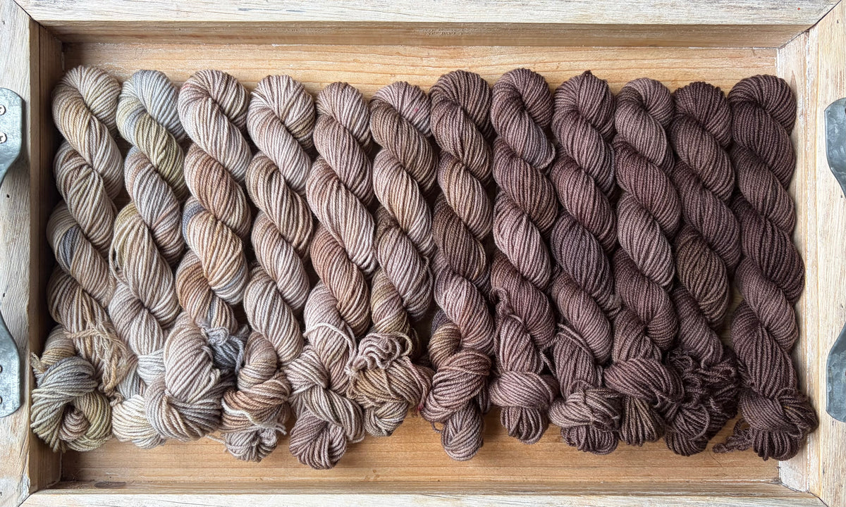 24 Skein Mini Yarn Fade - Squishy Sock Base