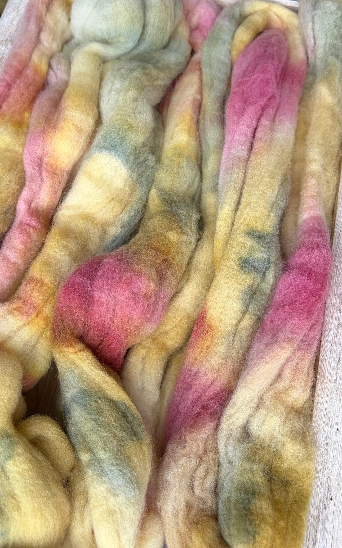 Targhee - 23 Micron - One of a Kind Batch - 100 grams of Spinning Fibre - Hand Dyed Combed Top
