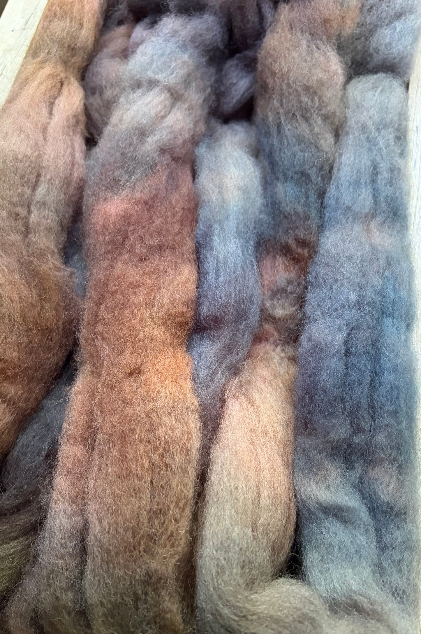 Bluefaced Leicester Wool - 26 Micron - One of a Kind Batch - 100 grams of Spinning Fibre - Hand Dyed Combed Top