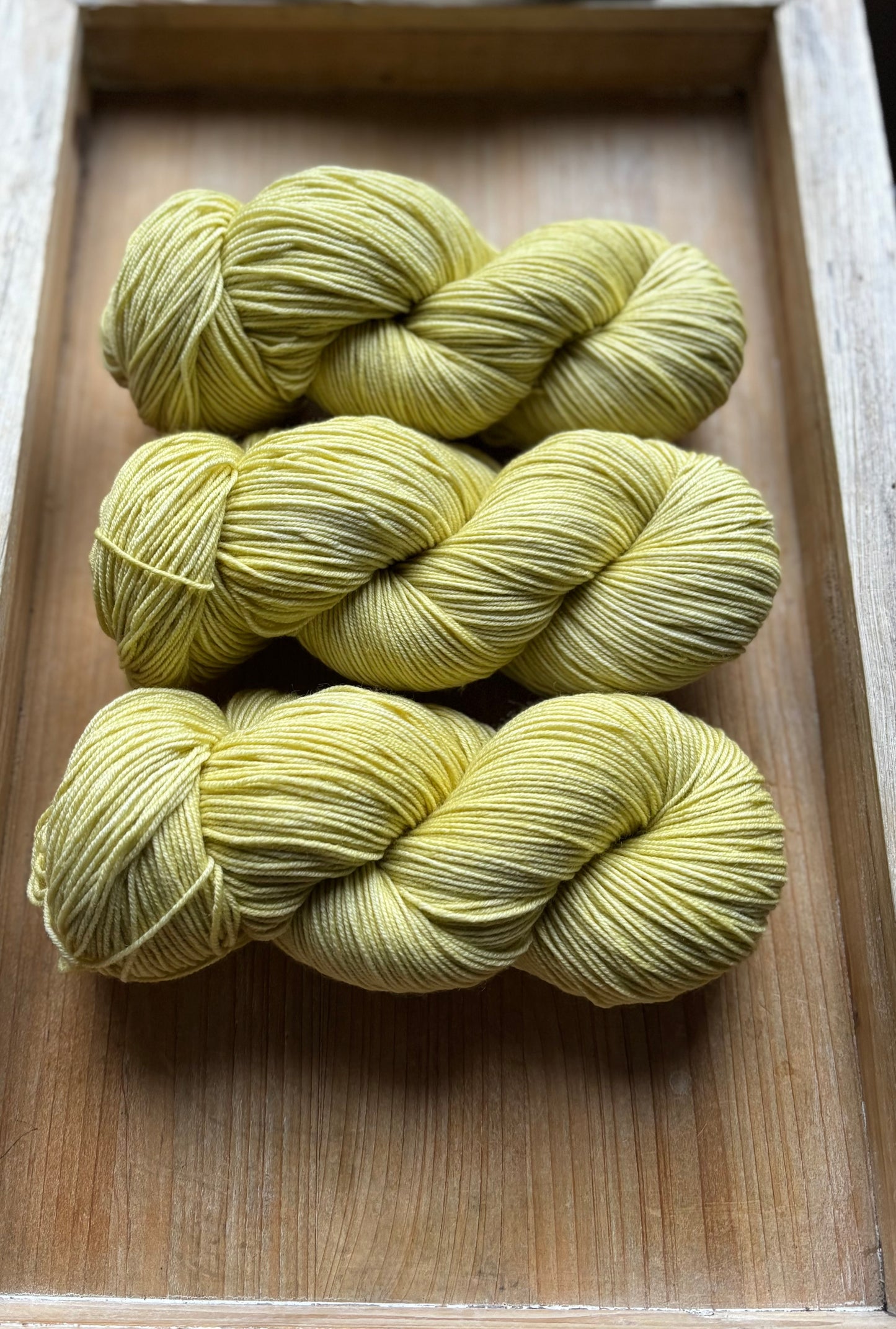 Chamomile Sprout