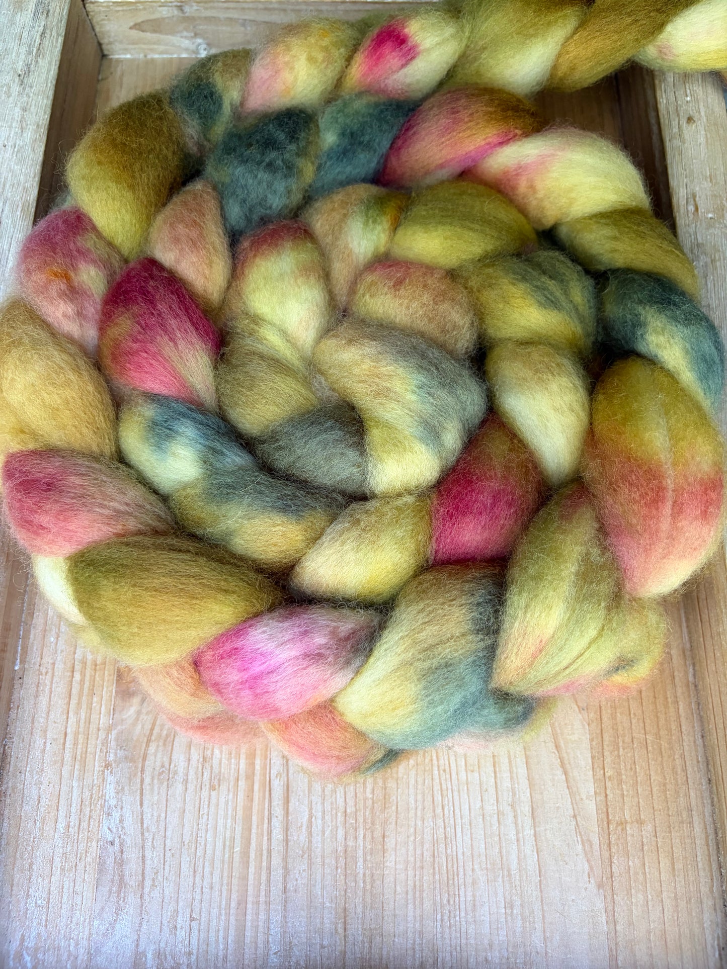 Bluefaced Leicester Wool - 26 Micron - One of a Kind Batch - 100 grams of Spinning Fibre - Hand Dyed Combed Top
