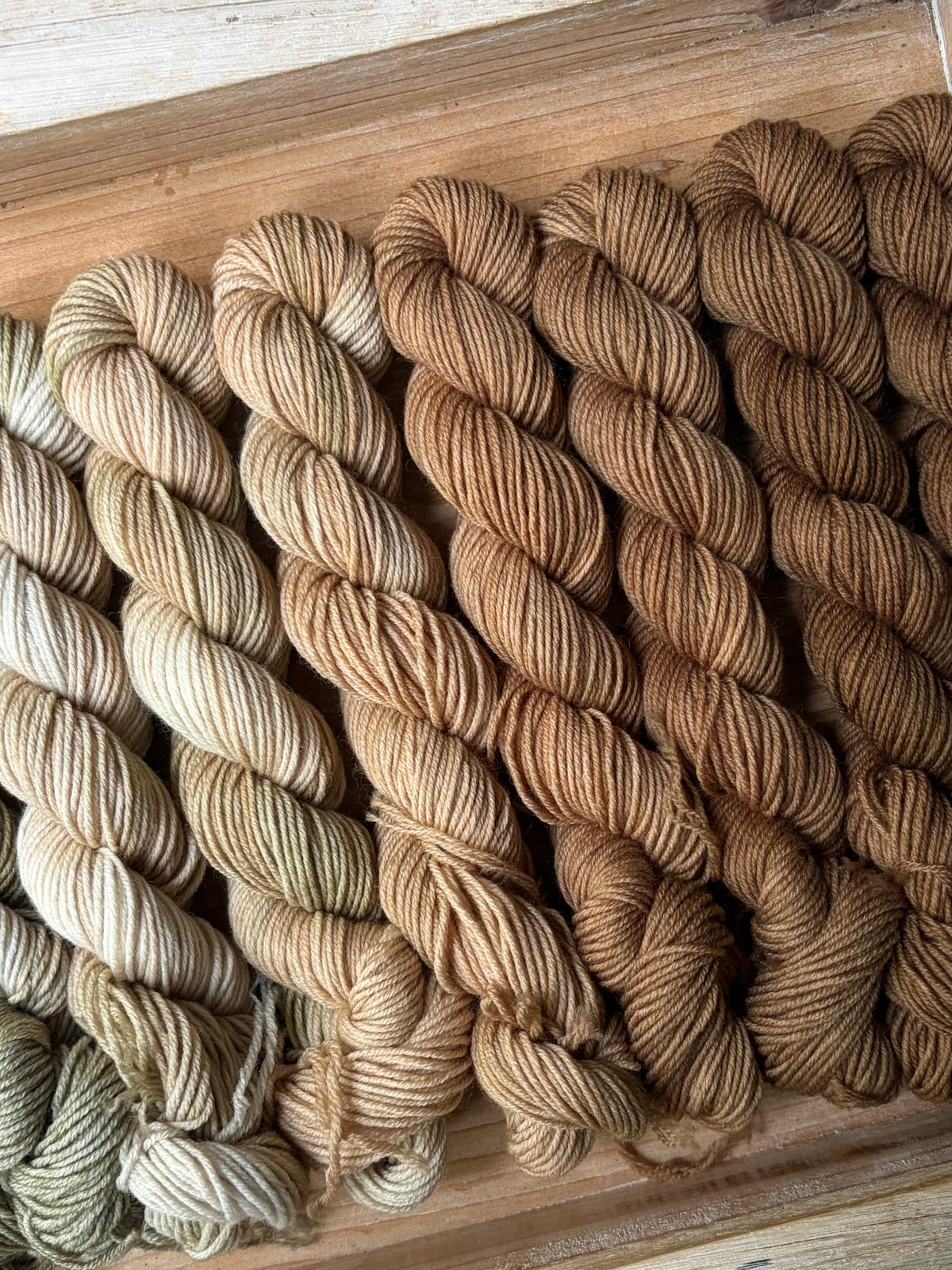 12 Skein Mini Yarn Fade - Squishy Sock Base
