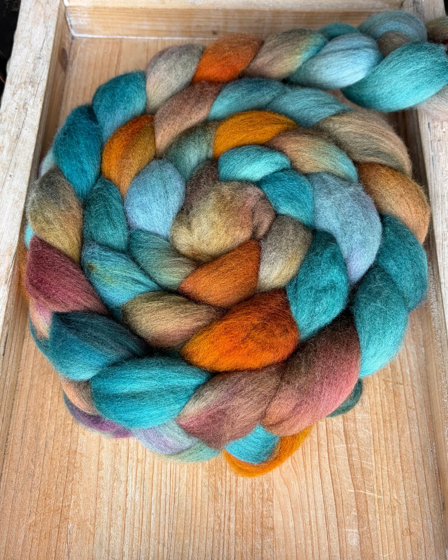 Polwarth - 22 Micron - One of a Kind Batch - 100 grams of Spinning Fibre - Hand Dyed Combed Top
