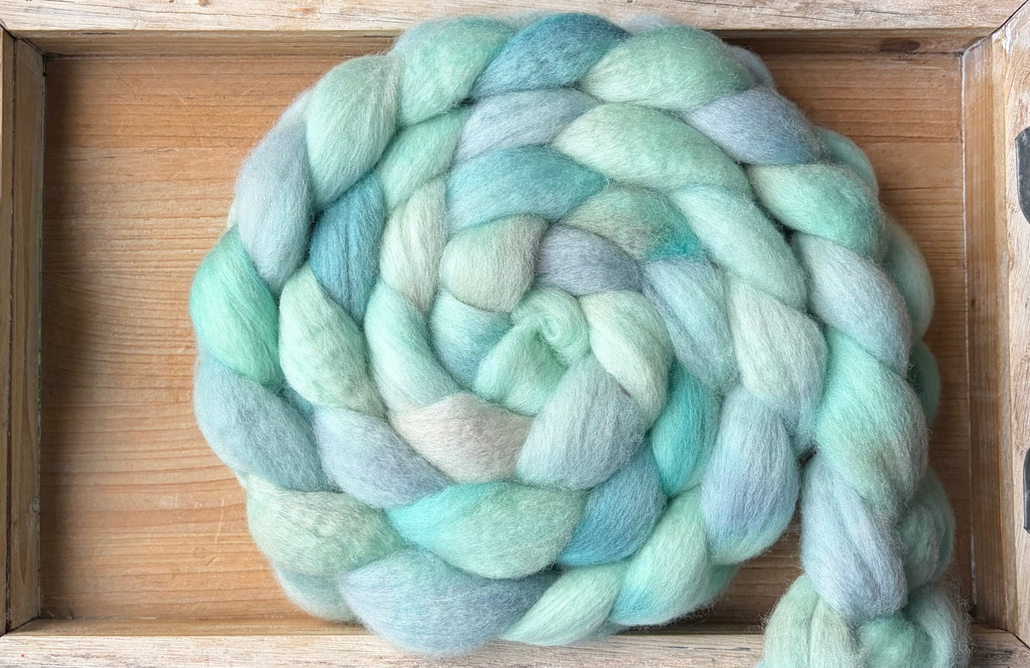 Bluefaced Leicester Wool - 26 Micron - One of a Kind Batch - 100 grams of Spinning Fibre - Hand Dyed Combed Top