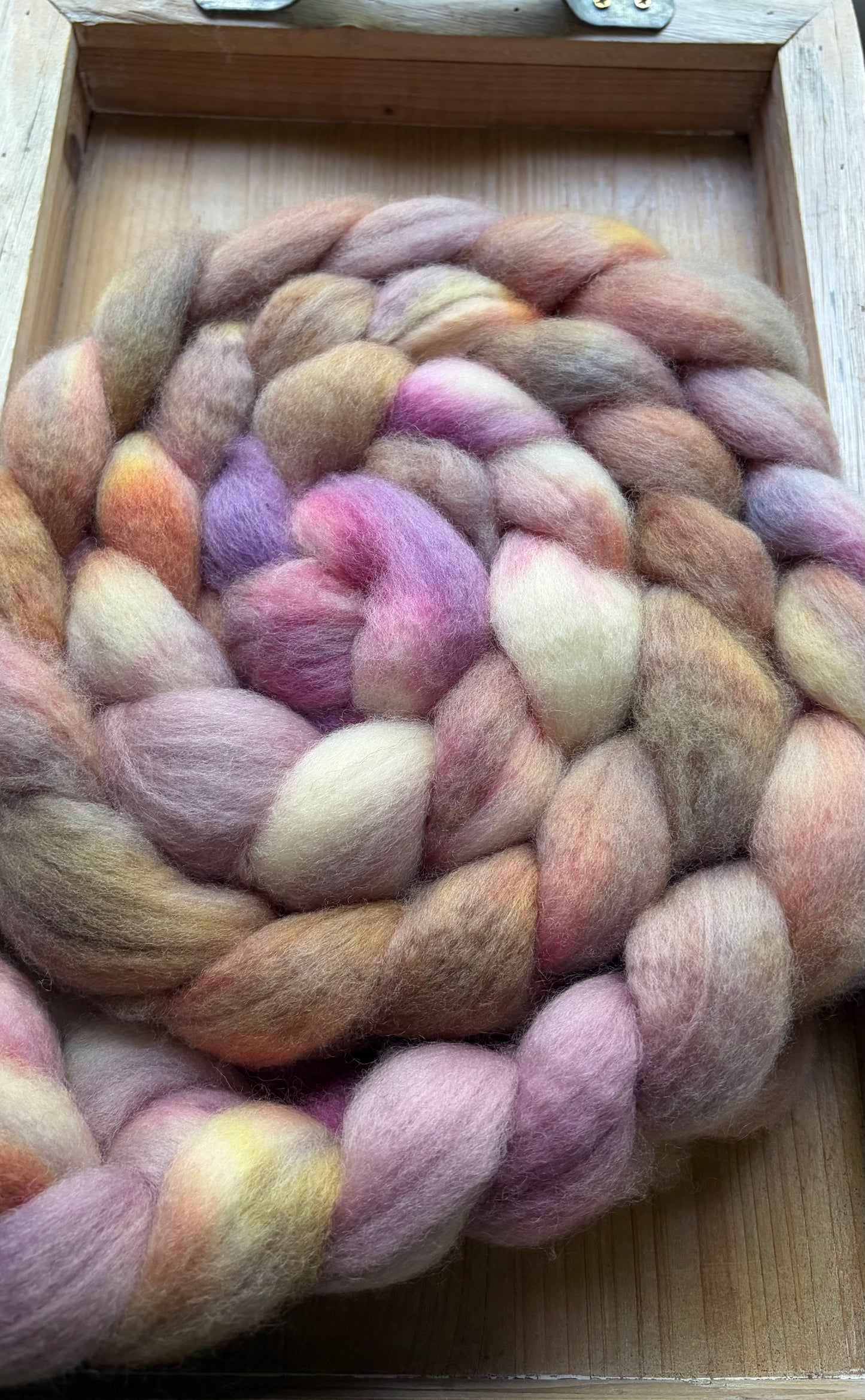 Bluefaced Leicester Wool - 26 Micron - One of a Kind Batch - 100 grams of Spinning Fibre - Hand Dyed Combed Top