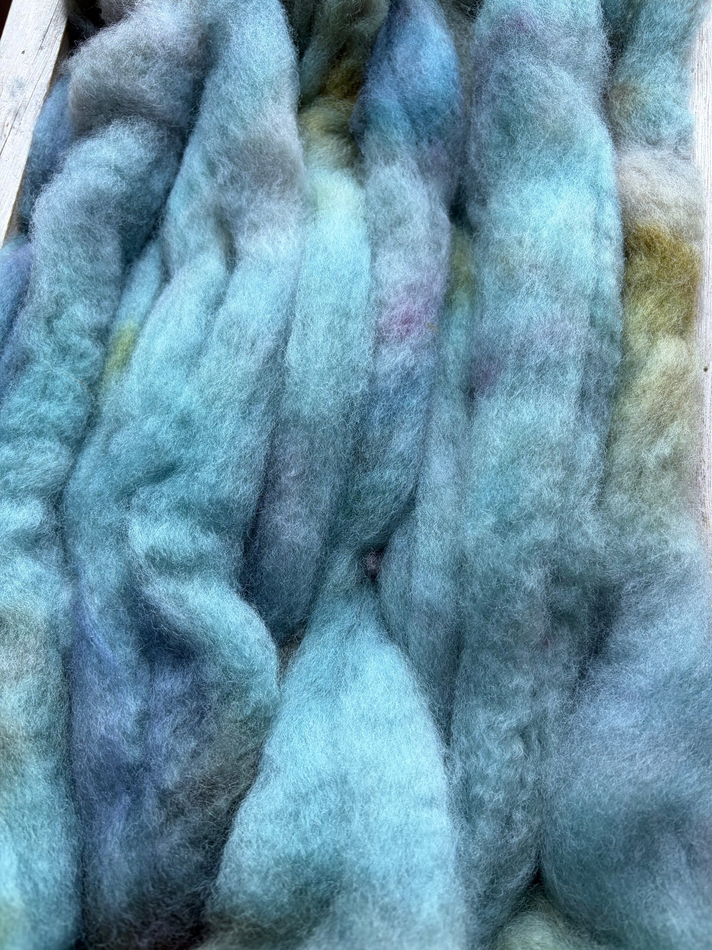 Bluefaced Leicester Wool - 26 Micron - One of a Kind Batch - 100 grams of Spinning Fibre - Hand Dyed Combed Top