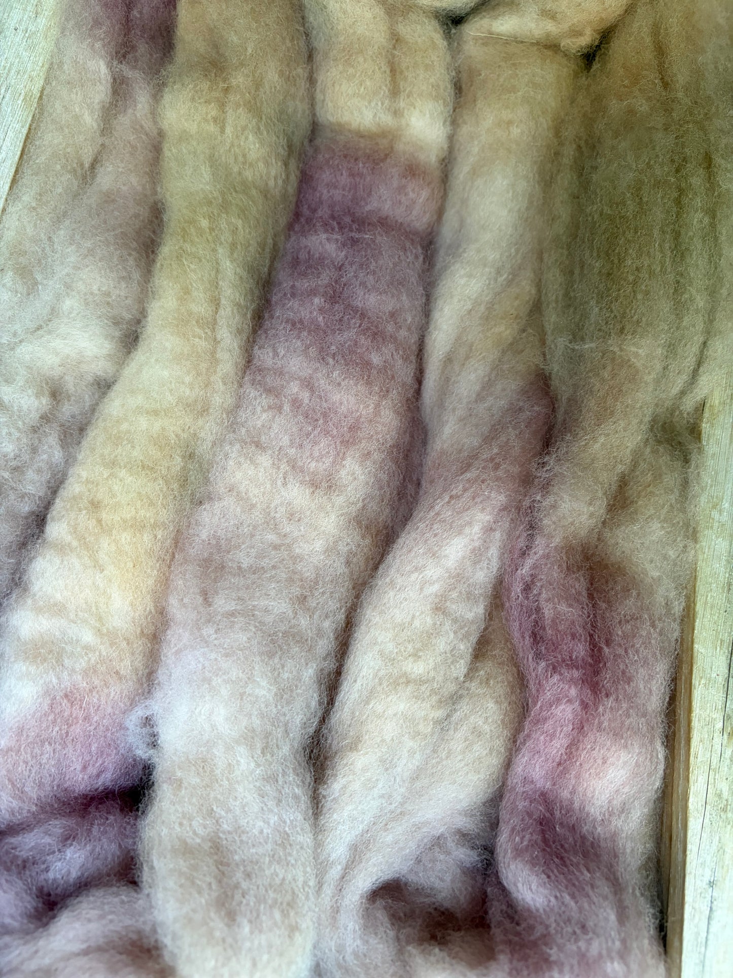 Bluefaced Leicester Wool - 26 Micron - One of a Kind Batch - 100 grams of Spinning Fibre - Hand Dyed Combed Top