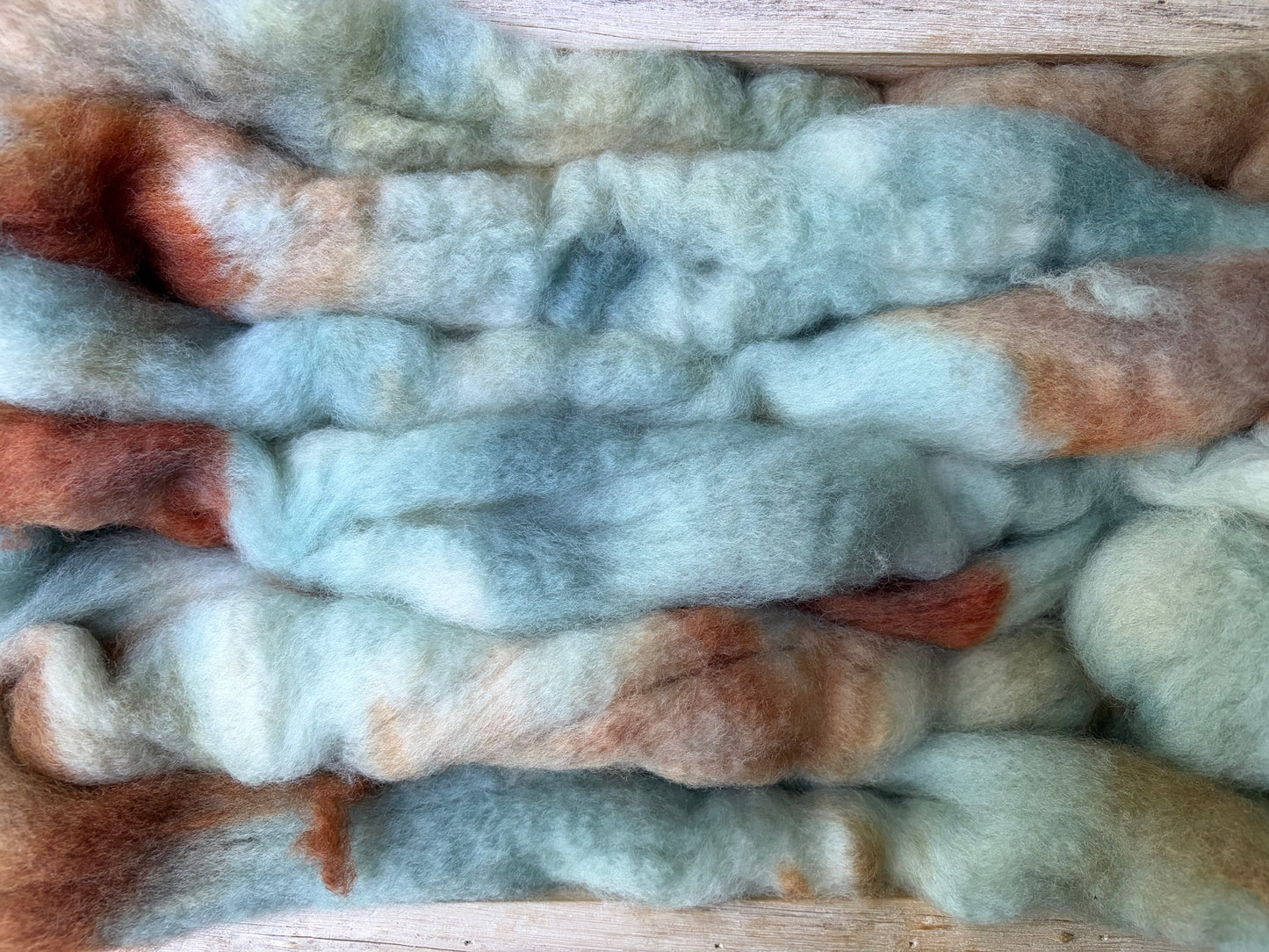 Bluefaced Leicester Wool - 26 Micron - One of a Kind Batch - 100 grams of Spinning Fibre - Hand Dyed Combed Top