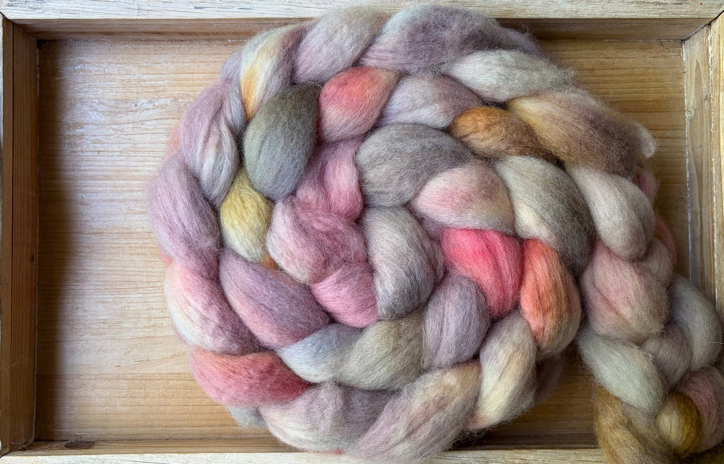 Bluefaced Leicester Wool - 26 Micron - One of a Kind Batch - 100 grams of Spinning Fibre - Hand Dyed Combed Top