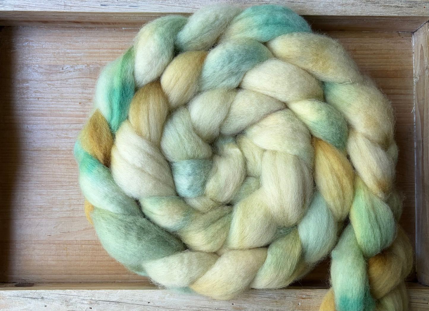 Bluefaced Leicester Wool - 26 Micron - One of a Kind Batch - 100 grams of Spinning Fibre - Hand Dyed Combed Top