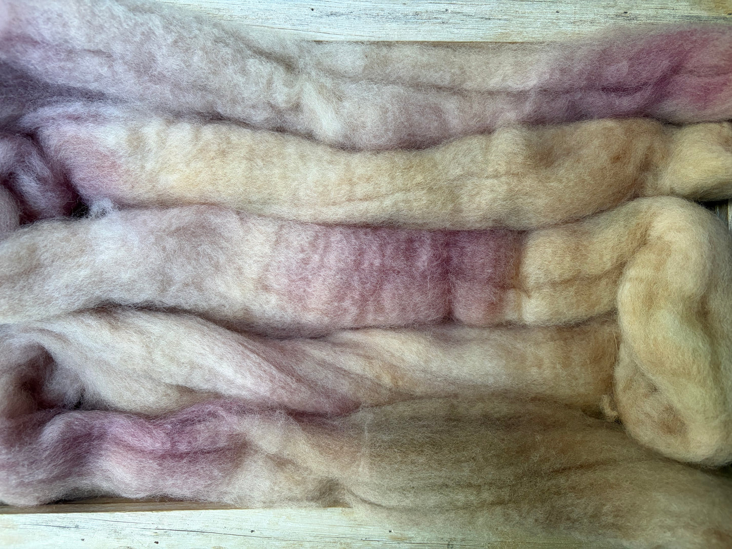 Bluefaced Leicester Wool - 26 Micron - One of a Kind Batch - 100 grams of Spinning Fibre - Hand Dyed Combed Top