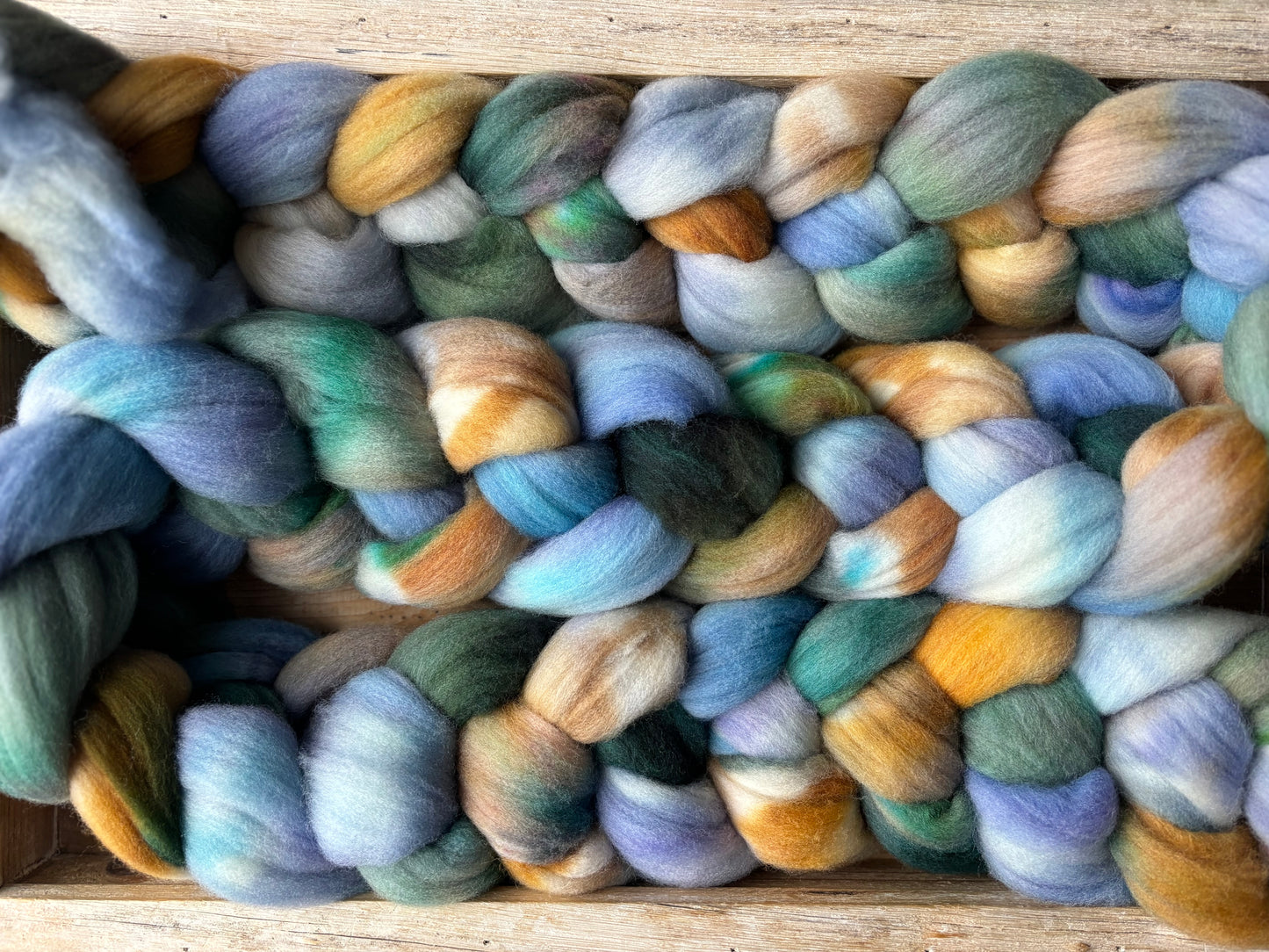 One of a Kind Batch - 100 grams of Spinning Fibre - 100% Targhee - 23 Micron - Hand Dyed Combed Top