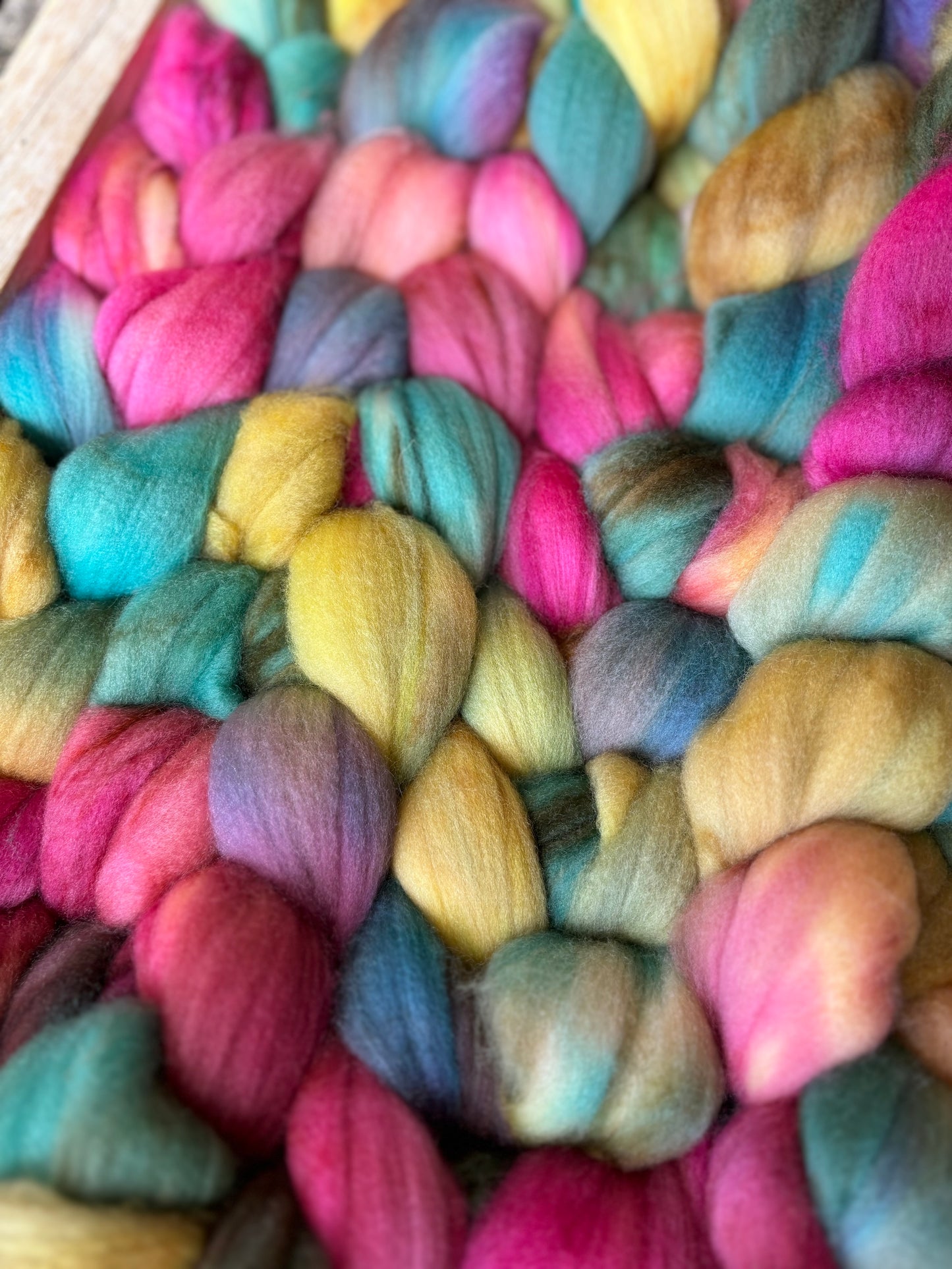 Frolic - 100 grams of Spinning Fibre