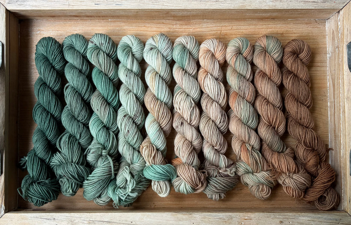 10 Skein Mini Yarn Fade - Squishy Sock Base