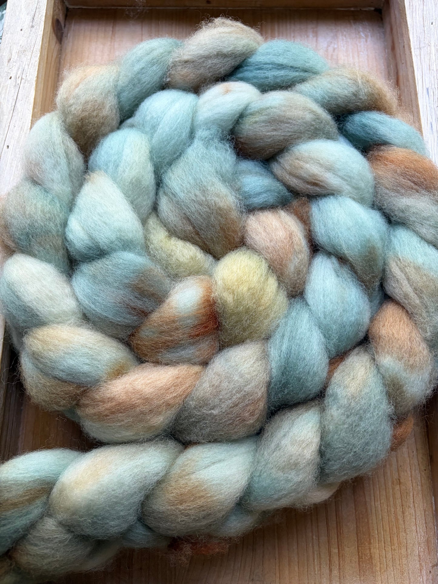 Bluefaced Leicester Wool - 26 Micron - One of a Kind Batch - 100 grams of Spinning Fibre - Hand Dyed Combed Top