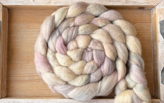 Bluefaced Leicester Wool - 26 Micron - One of a Kind Batch - 100 grams of Spinning Fibre - Hand Dyed Combed Top