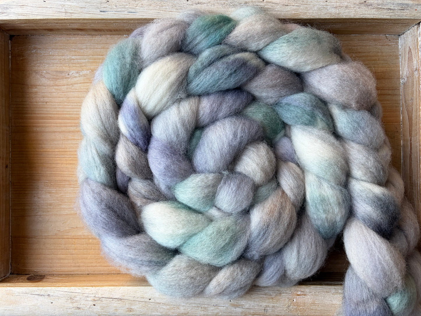 Bluefaced Leicester Wool - 26 Micron - One of a Kind Batch - 100 grams of Spinning Fibre - Hand Dyed Combed Top