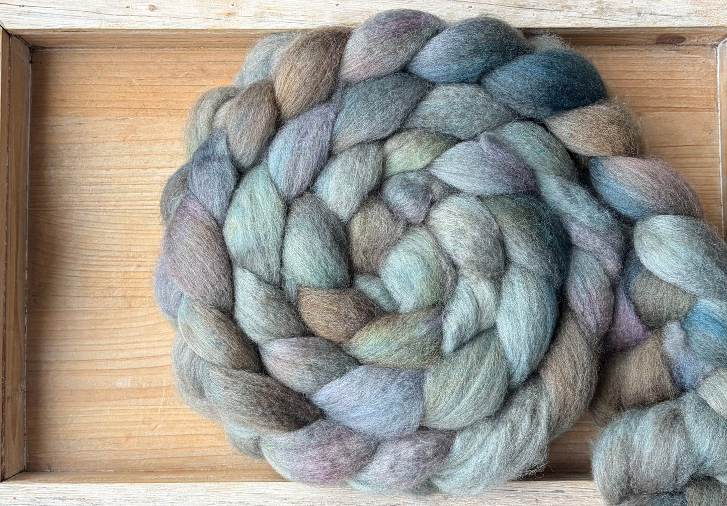 Bluefaced Leicester Wool - 26 Micron - One of a Kind Batch - 100 grams of Spinning Fibre - Hand Dyed Combed Top