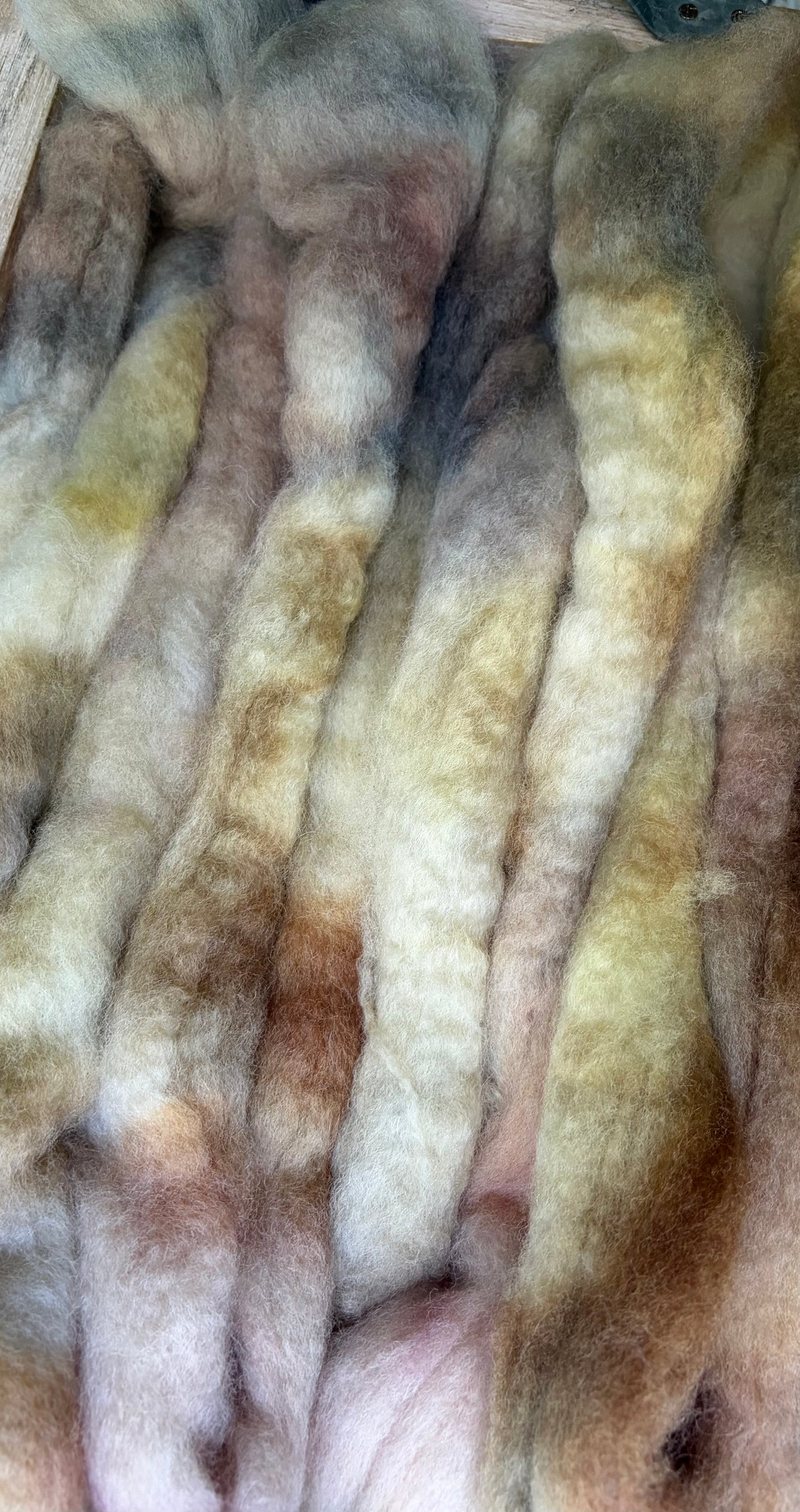 Bluefaced Leicester Wool - 26 Micron - One of a Kind Batch - 100 grams of Spinning Fibre - Hand Dyed Combed Top